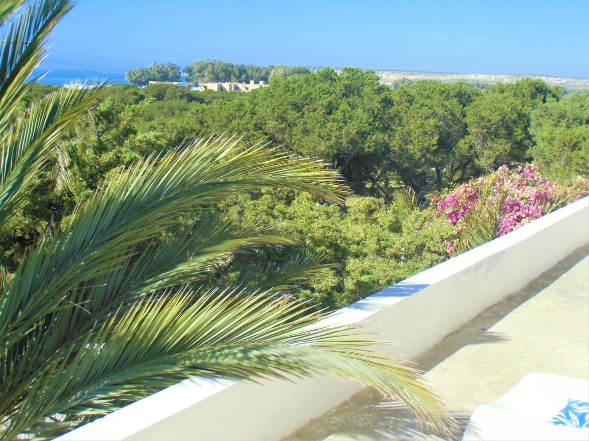 Hotel Villa Soleil ซิดี้คาโอกี ภายนอก รูปภาพ